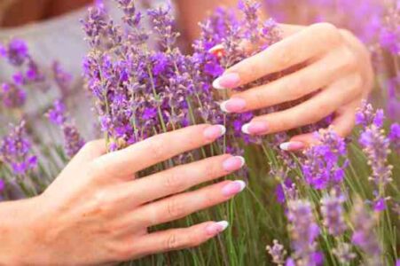 Lessons Learned From a Sensory Herb Garden Image